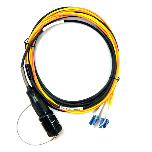 YZC12P-12FC Fiber Connector 12cores Plug with One End of 12 FC