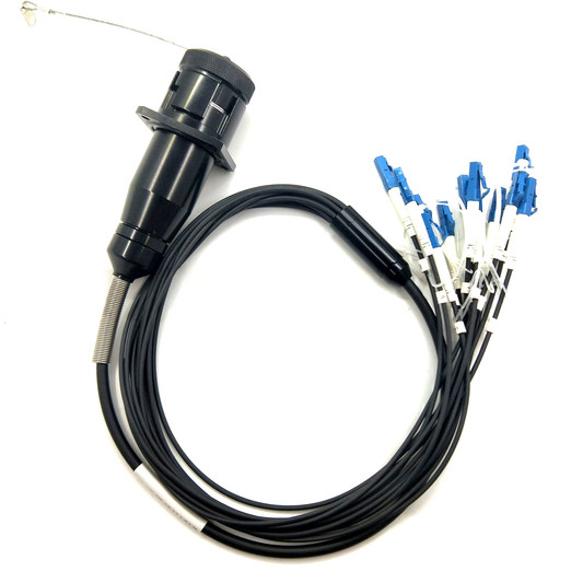 Fiber Optic Patch Cord C Type 12 Cores Socket Assemblies